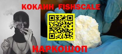 СК Новодвинск