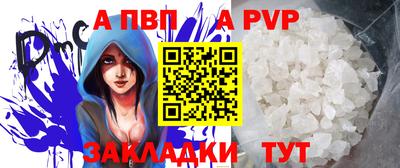 СК Новодвинск