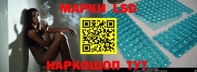 СК Новодвинск