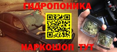 спиды Новозыбков