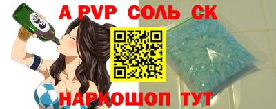 СК Новодвинск