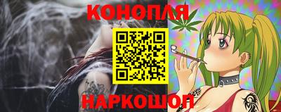 крисы Новокубанск