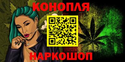 СК Новодвинск