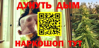 СК Новодвинск